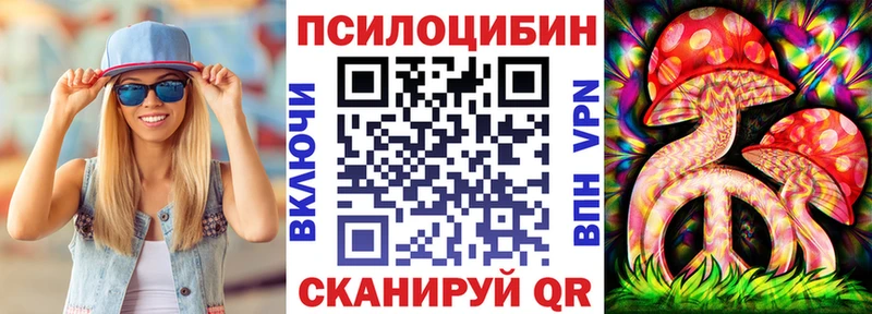 blacksprut зеркало Рошаль Псилоцибиновые грибы GOLDEN TEACHER